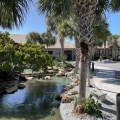Supporting Local Museums in Lee County, FL: Expert Tips and Insights